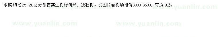 求購胸徑25-28公分實生銀杏