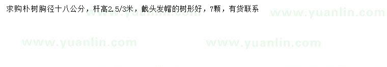 求購胸徑18公分樸樹