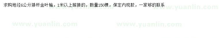 求購地徑6公分金葉榆