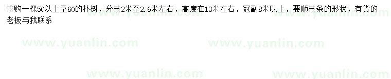 求購(gòu)50-60公分樸樹(shù)
