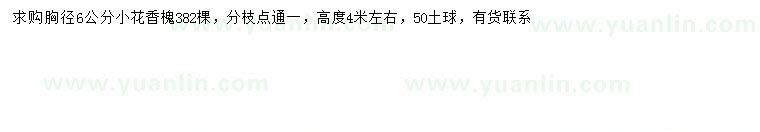 求購胸徑6公分花香槐