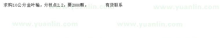 求購10公分金葉榆
