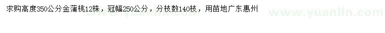 求購高350公分金蒲桃