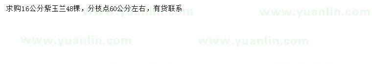 求購16公分紫玉蘭