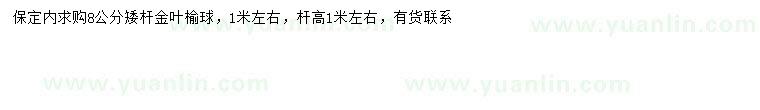 求購(gòu)8公分矮桿金葉榆球