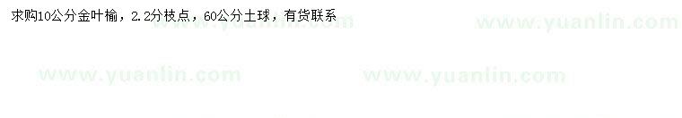 求購10公分金葉榆