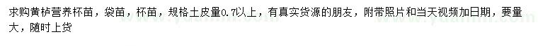 求購0.7公分以上黃櫨