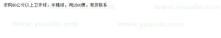 求購(gòu)80公分以上衛(wèi)矛球