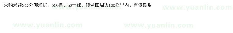 求購米徑8公分娜塔櫟