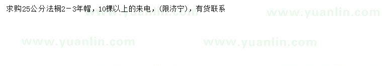 求購25公分法桐