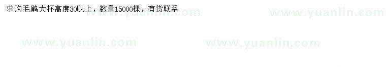 求購(gòu)30公分以上毛鵑