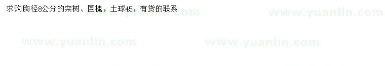 求購胸徑8公分欒樹、國槐