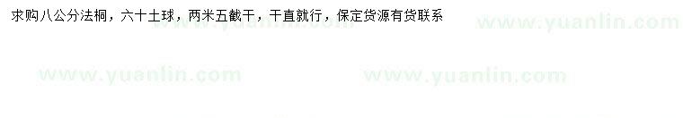 求購8公分法桐