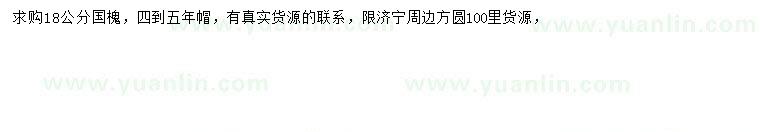 求購18公分國槐