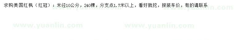 求購(gòu)米徑10公分美國(guó)紅楓
