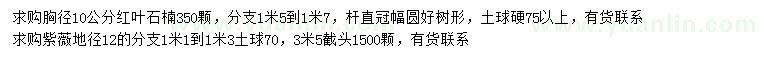 求購胸徑10公分紅葉石楠、地徑12公分紫薇