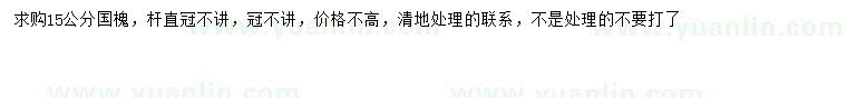 求購15公分國槐
