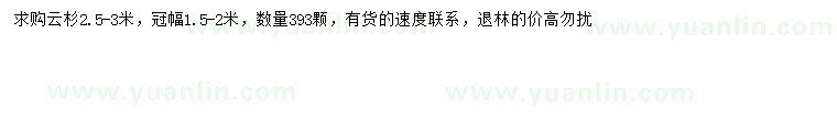 求購2.5-3米云杉