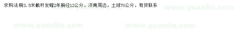 求購(gòu)胸徑12公分法桐