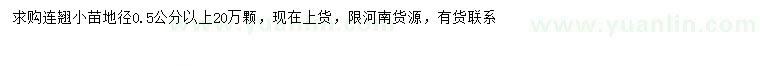 求購(gòu)地徑0.5公分以上連翹小苗