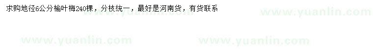 求購地徑6公分榆葉梅