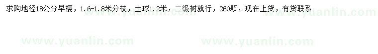 求購地徑18公分早櫻