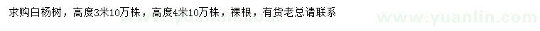 求購高3、4米白楊