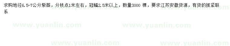 求購地徑6.5-7公分紫薇