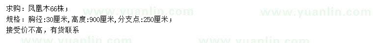 求購胸徑30公分?zhù)P凰木
