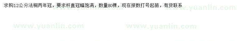 求購12公分法桐