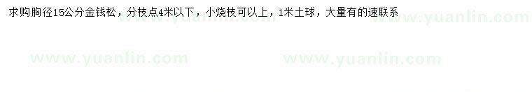 求購胸徑15公分金錢松