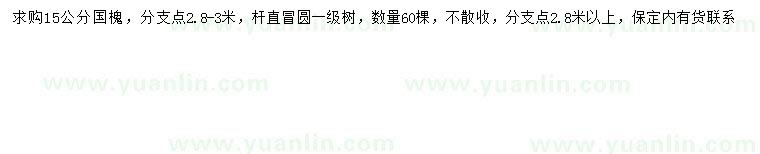 求購15公分國槐