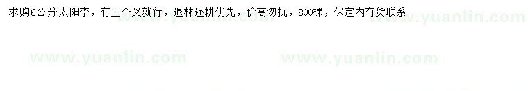 求購6公分太陽李