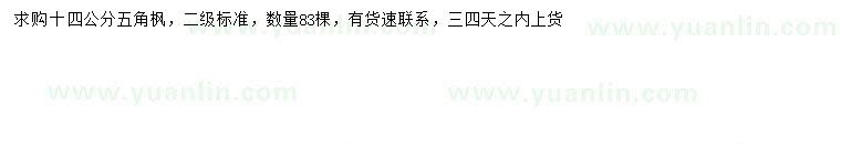 求購14公分五角楓