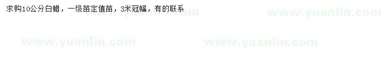 求購10公分白蠟