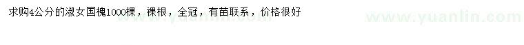 求購(gòu)4公分淑女國(guó)槐
