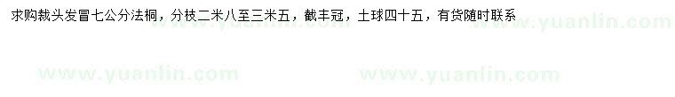 求購(gòu)7公分法桐