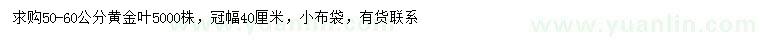 求購50-60公分黃金葉