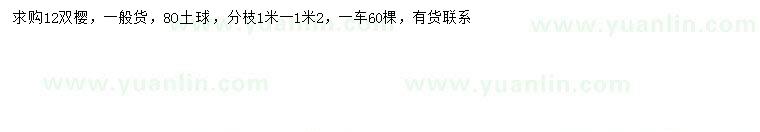 求購12公分雙櫻