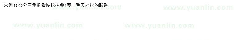 求購15公分三角楓