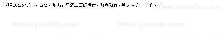 求購20公分五角楓