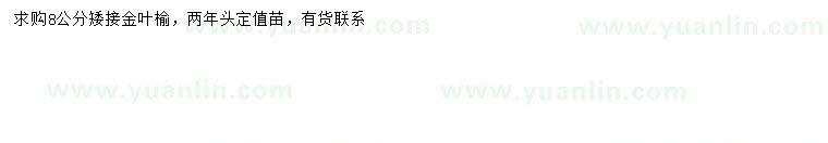 求購8公分金葉榆