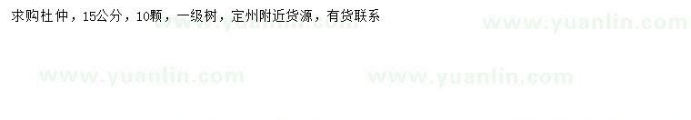 求購(gòu)15公分杜仲