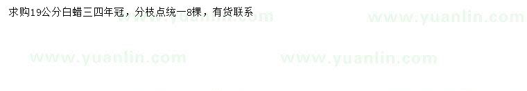 求購19公分白蠟