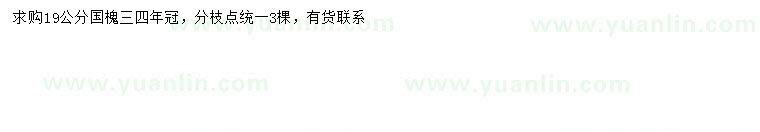 求購19公分國槐