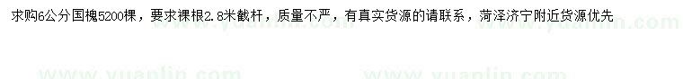 求購(gòu)6公分國(guó)槐