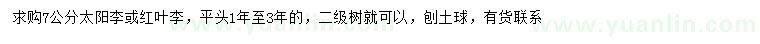 求購(gòu)7公分太陽(yáng)李、紅葉李