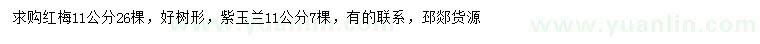 求購11公分紅梅、11公分紫玉蘭