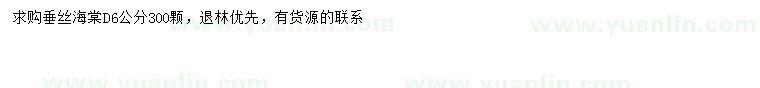 求購地徑6公分垂絲海棠