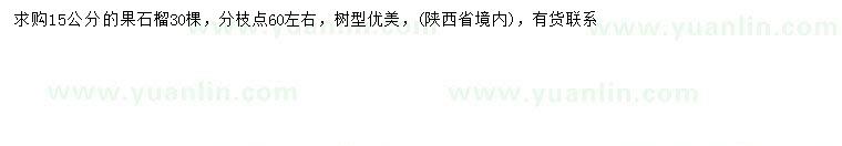 求購15公分果石榴